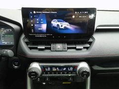 Toyota Wildland New Energy Performance Edition 2.5L AWD Edition - ფოტო 12