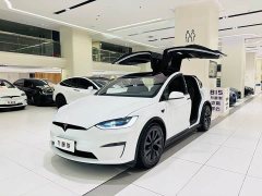 Tesla Model X Dual Motor All-Wheel Drive - ფოტო 2