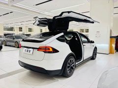 Tesla Model X Dual Motor All-Wheel Drive - ფოტო 5