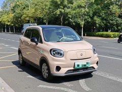 Leapmotor T03 403 Lite Edition - ფოტო 3