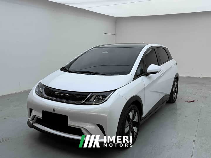 BYD Dolphin 401km Knight Edition