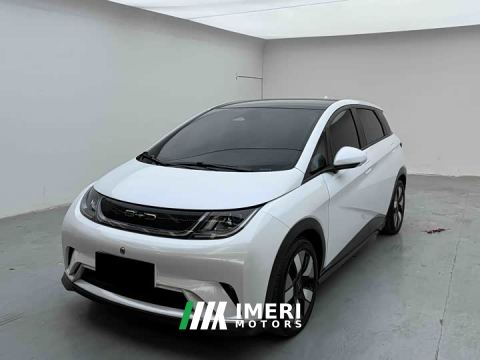 2023 BYD Dolphin 401km Knight Edition