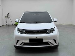 BYD Dolphin 401km Knight Edition - ფოტო 2