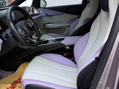 BYD Dolphin 401km Knight Edition - ფოტო 4