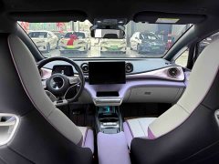 BYD Dolphin 401km Knight Edition - ფოტო 5