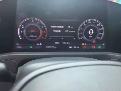 Honda Accord 260TURBO Luxury Edition - ფოტო 14