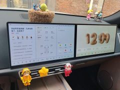 Li Auto L9 Ultra Smart Refresh Edition - ფოტო 14