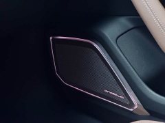 Audi A7L 45 TFSI Luxury - ფოტო 11
