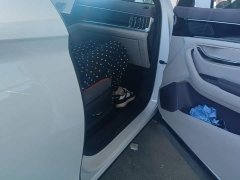 BYD Song Plus New Energy 2025 DM-i 112KM Prestige - ფოტო 8