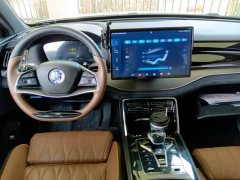 BYD Tang New Energy 2021 DM-i 112KM Premium Edition - ფოტო 5