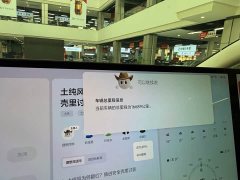Li Auto Li Xiang MEGA Ultra - ფოტო 14