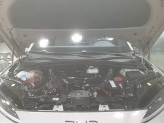 BYD Song Plus New Energy 2025 EV 520km Luxury - ფოტო 10