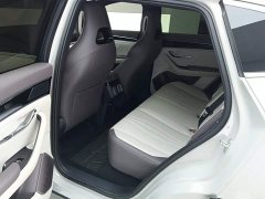 BYD Song Plus New Energy 2025 EV 520km Luxury - ფოტო 11