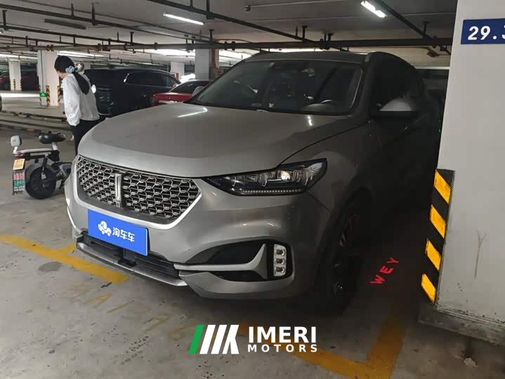 Great Wall WEY VV6 2.0T Two-Wheel Drive Smart Plus - ავტომობილი ჩინეთიდან