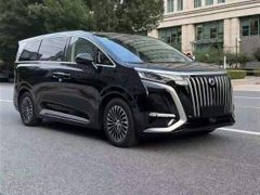 Denza BYD Denza D9 2024 EV 620 Premium Edition - ფოტო 3