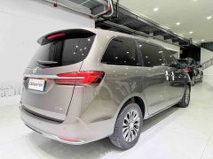 Buick GL8 Land Executive Cabin 652T Luxury - ფოტო 6