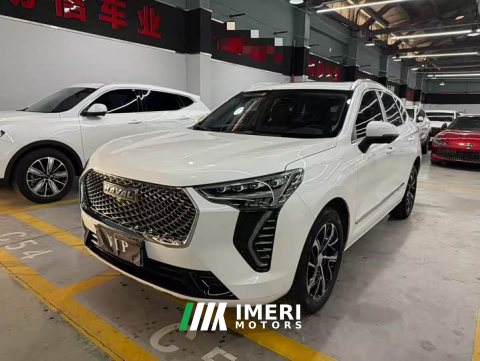 2022 Haval First Love 2021 1.5T Automatic Grand Three Edition - ავტომობილი ჩინეთიდან