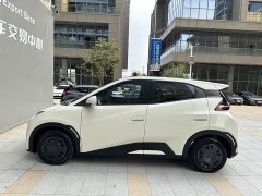 BYD Seagull Smart Drive 305km Vitality Edition - ფოტო 2