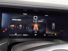 Tank 300 2021 Off-Road Edition 2.0T Conqueror - ფოტო 14