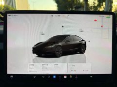Tesla Model 3 2023 Rear-Wheel Drive - ფოტო 16