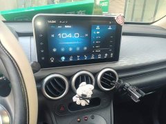 ORA Black Cat 351km Luxury - ფოტო 14