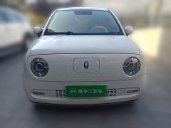ORA Black Cat 351km Luxury - ფოტო 2