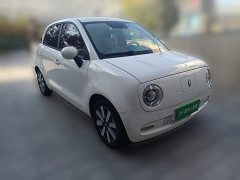 ORA Black Cat 351km Luxury - ფოტო 3