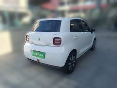 ORA Black Cat 351km Luxury - ფოტო 6