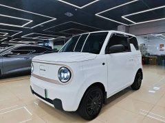 Geely Panda Mini 200km Endurance Edition - ფოტო 1
