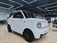 Geely Panda Mini 200km Endurance Edition - ფოტო 3