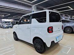 Geely Panda Mini 200km Endurance Edition - ფოტო 4