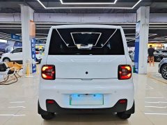 Geely Panda Mini 200km Endurance Edition - ფოტო 5