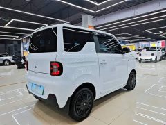 Geely Panda Mini 200km Endurance Edition - ფოტო 6