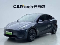 Tesla Model Y Long Range All-Wheel Drive - ფოტო 1