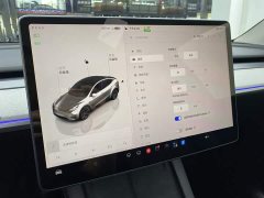Tesla Model Y Long Range All-Wheel Drive - ფოტო 15