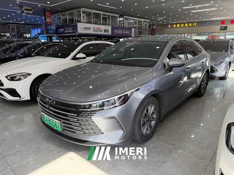 2024 BYD Destroyer 05 Glory Edition DM-i 55KM Luxury
