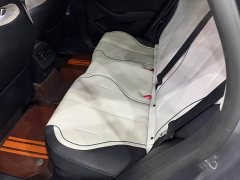 BYD Destroyer 05 Glory Edition DM-i 55KM Luxury - ფოტო 12