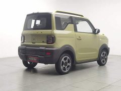 Geely Panda 210km Panda Knight - ფოტო 2