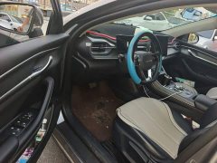 BYD Destroyer 05 Champion Edition DM-i 55KM Luxury - ფოტო 12
