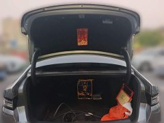 BYD Destroyer 05 Champion Edition DM-i 55KM Luxury - ფოტო 15