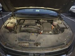 BYD Destroyer 05 Champion Edition DM-i 55KM Luxury - ფოტო 16