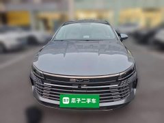 BYD Destroyer 05 Champion Edition DM-i 55KM Luxury - ფოტო 2