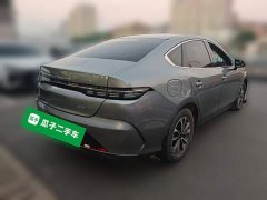 BYD Destroyer 05 Champion Edition DM-i 55KM Luxury - ფოტო 4