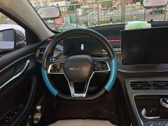 BYD Destroyer 05 Champion Edition DM-i 55KM Luxury - ფოტო 6