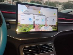BYD Destroyer 05 Champion Edition DM-i 55KM Luxury - ფოტო 9