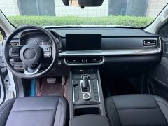 Volkswagen 2.0T AWD Version - ფოტო 6