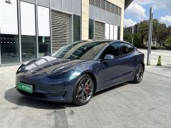 Tesla Model 3 Performance All-Wheel Drive - ფოტო 1