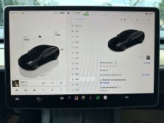 Tesla Model 3 Performance All-Wheel Drive - ფოტო 5