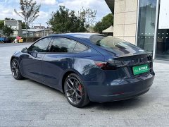 Tesla Model 3 Performance All-Wheel Drive - ფოტო 7