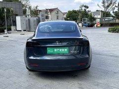 Tesla Model 3 Performance All-Wheel Drive - ფოტო 8